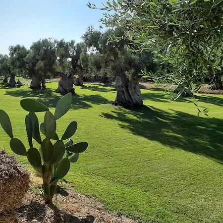 Masseria Anticalama & Farm stay Fasano